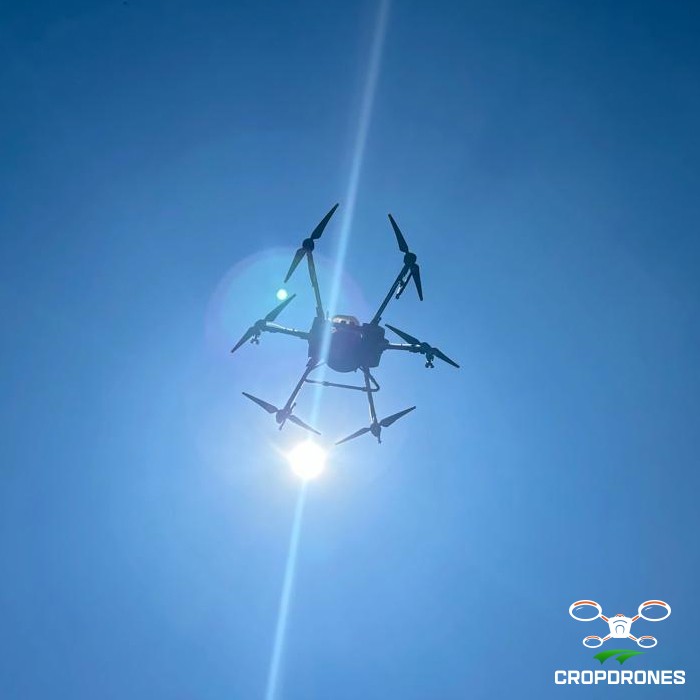 CROPDRONES KZN